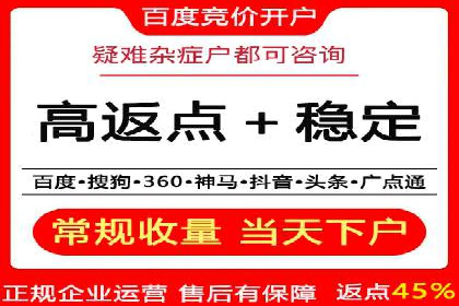 百度SEO推广策略调整：一个成功的调整案例